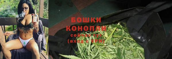 дмт Медногорск