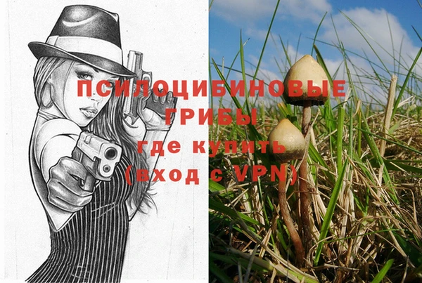 сатива Медвежьегорск