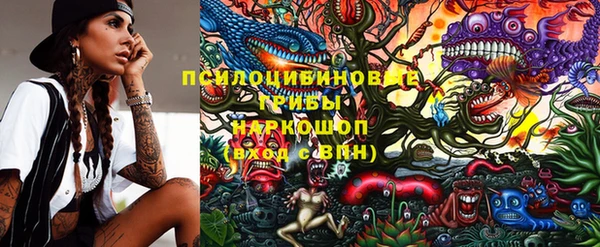 дмт Медногорск