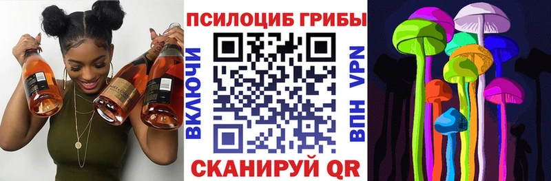 Псилоцибиновые грибы мицелий  Стрежевой 